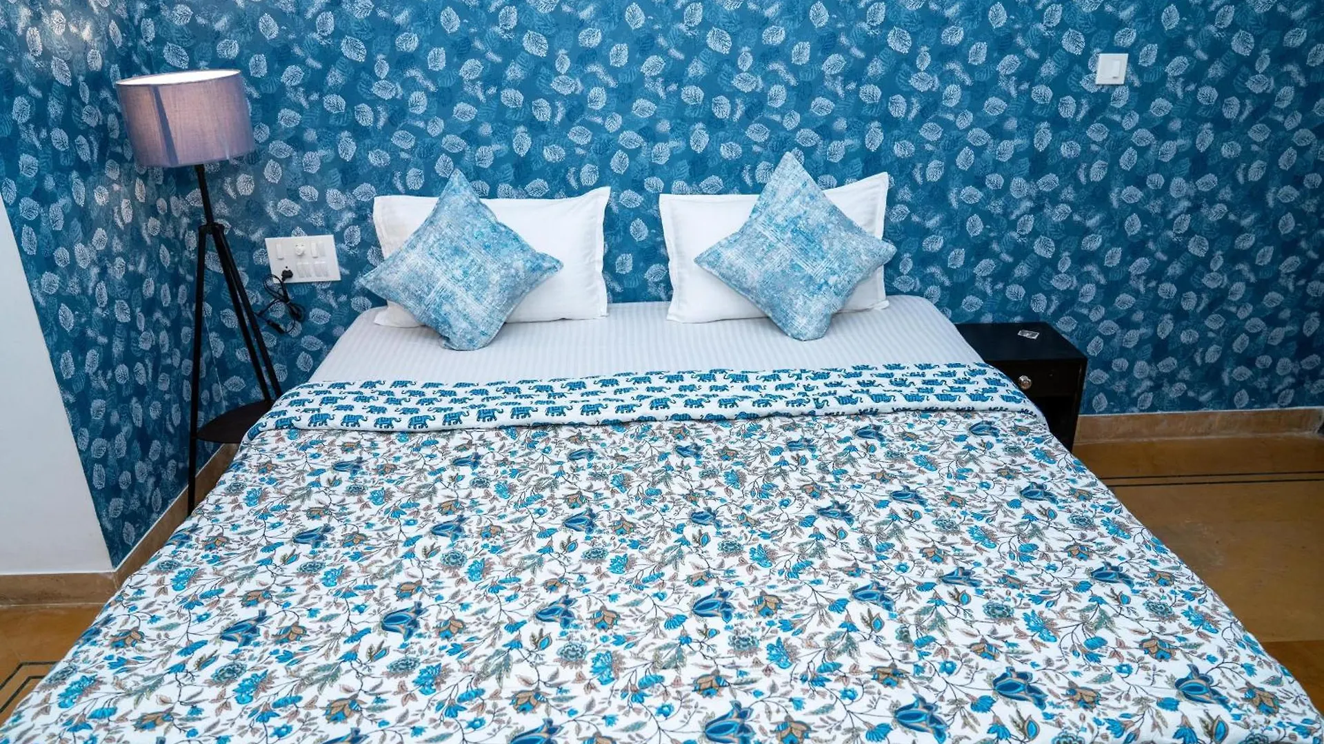 Footprint Hostel Udaipur 0*,  India